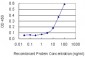 SLC25A11 Antibody (monoclonal) (M01)